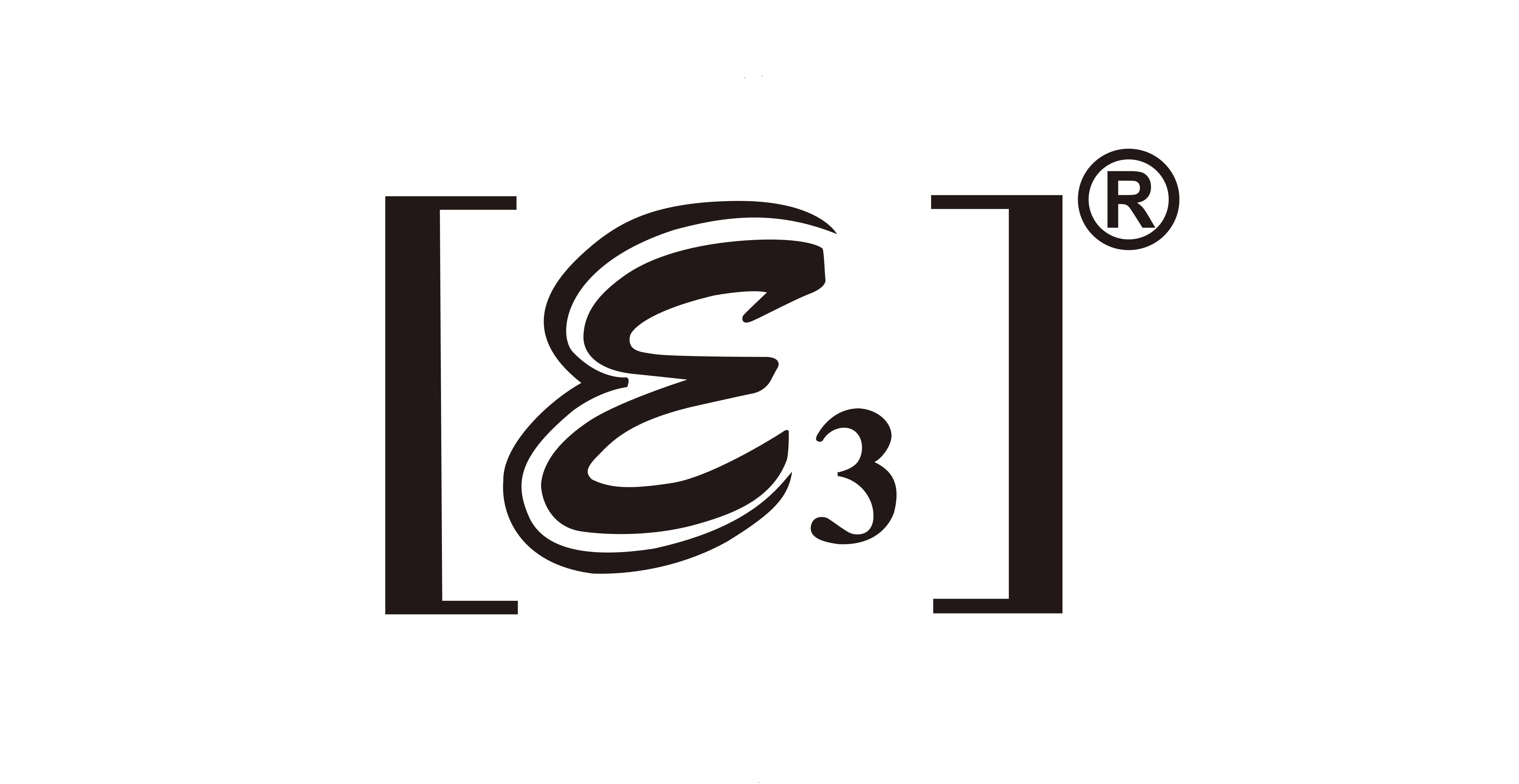 E3 专业无线麦克风系统